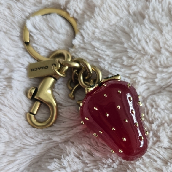 Coach Accessories - Coach Gold and Red Strawberry Key Holder